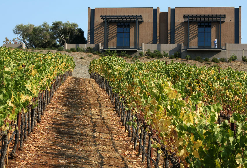 Continuum Estate Vineyard and Winery